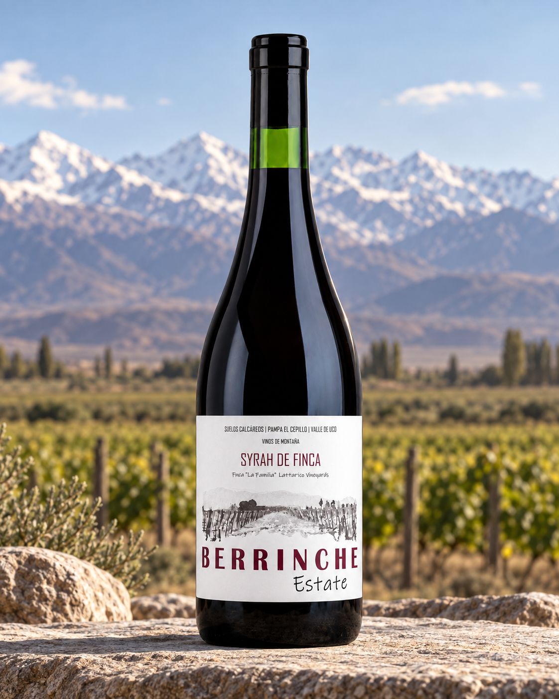 Berrinche Estate Single-Vineyard Syrah 2023 | Premium Argentine Syrah from Valle de Uco