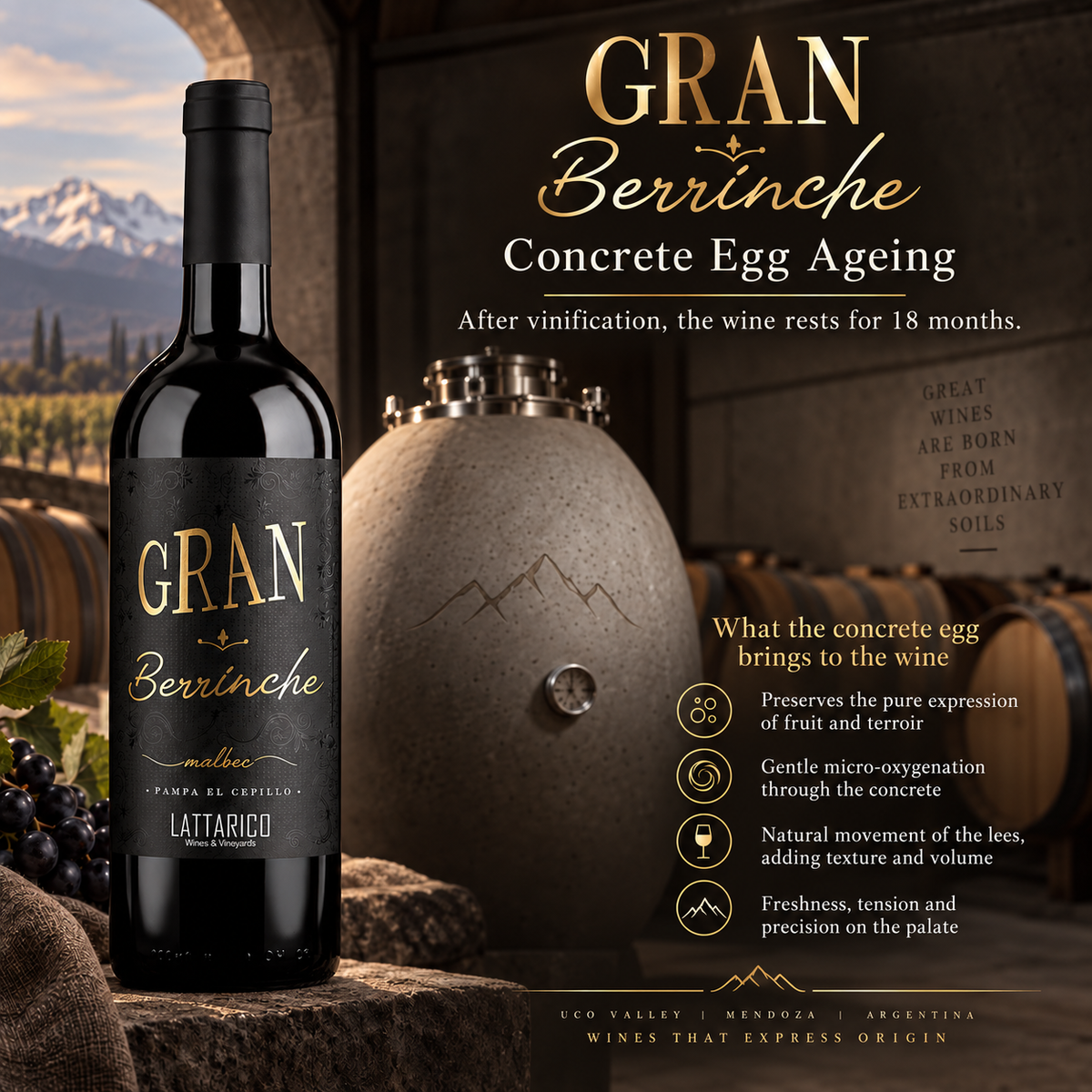 Gran Berrinche Malbec 2020 | Premium Argentine Malbec from Valle de Uco